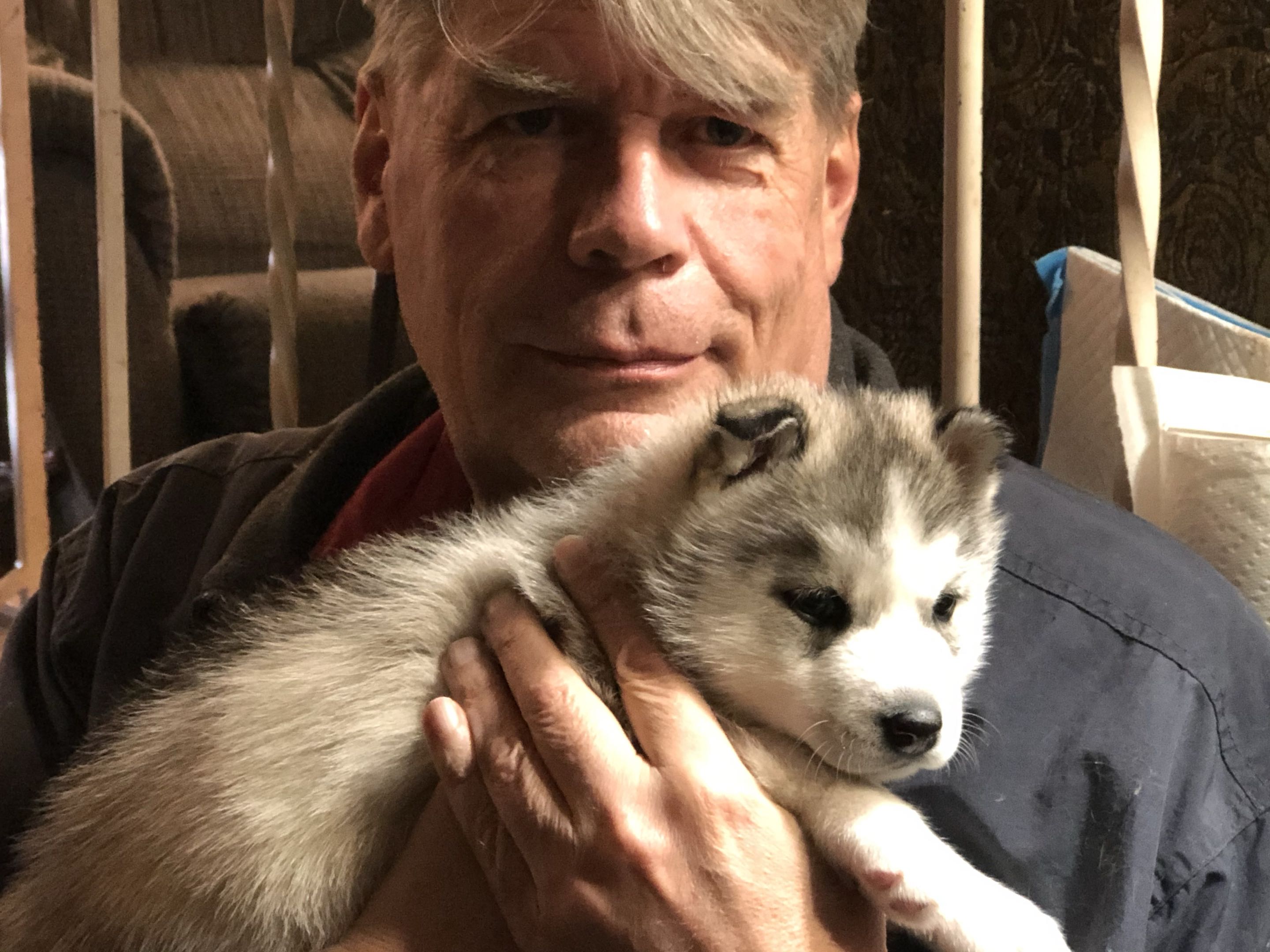 Portrait of Arne Jamtgaard